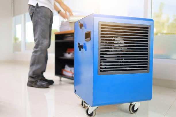 Environmental Consulting for Mold Prevention in Mescal, AZ