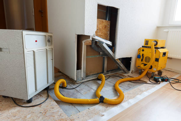 Best Environmental Consulting for Mold Prevention  in Mescal, AZ