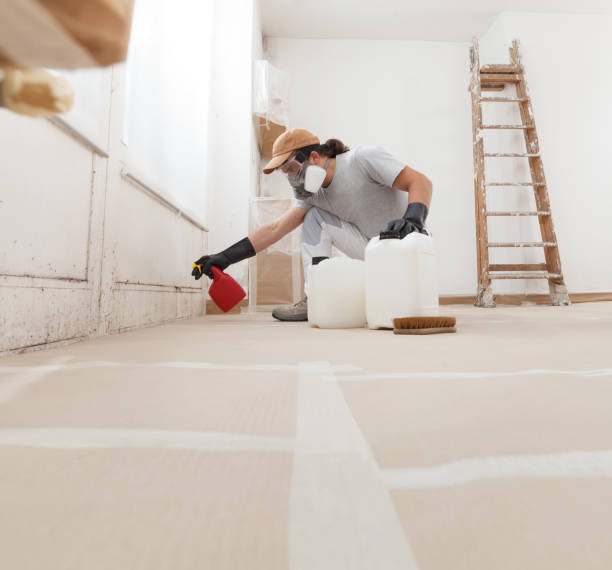 Best Asbestos and Lead Testing During Mold Inspection  in Mescal, AZ